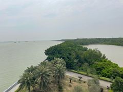 -大湾区中央湿地公园