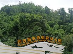 -西双版纳原始森林公园