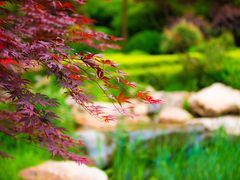 -大连植物园