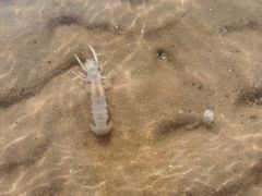 -东戴河风景区-止锚湾