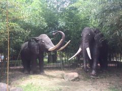 -揭东万竹园旅游景区