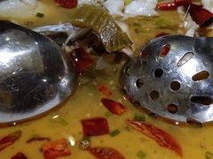 -张记旺角食街(动物园店)