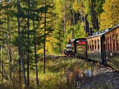 -莫尔道嘎国家森林公园