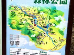 -广州白江湖森林公园