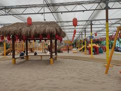 -南宫五洲植物乐园