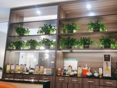 -刘胖子家常菜·蹄花焖藕(中南店)