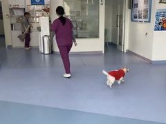 -全心全意动物诊疗中心医院(北苑店)