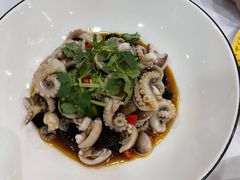捞汁八爪鱼-万荣烤鸭店·北京菜(天坛店)