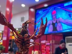-簋街仔仔小龙虾(总店)
