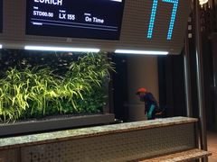 -贾特拉帕蒂·希瓦吉国际机场