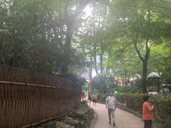 -静安公园(静安寺街道)