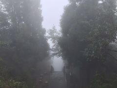 -江西阳明山国家森林公园