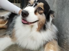 -TrueLove @ Neverland (Husky Cafe)