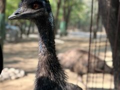 -北京野生动物园