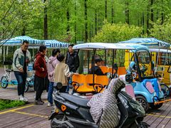 -黄海国家森林公园