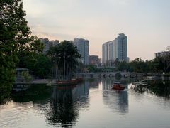 -荔湾湖公园