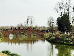 -白鹭湾湿地公园