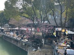 -苏州本色美术馆