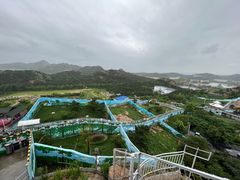 -西霞口神雕山野生动物世界