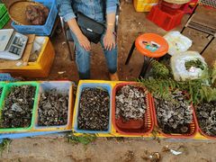 -云南木水花野生菌交易中心