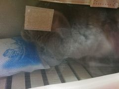 -严国平动物医院(德政总院)