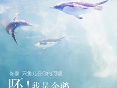 -芜湖新华联大白鲸海洋公园