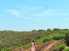 -平湖九龙山旅游度假区