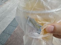 -星漠亲子餐厅•有机食材•儿童游乐