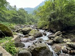 -西岭雪山大飞水景区