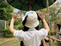 -灵玲国际马戏城