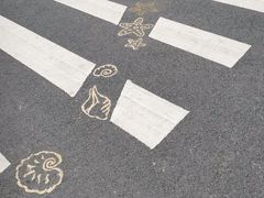 景点-宝安西湾红树林湿地公园