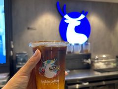 -瑞幸咖啡(南京晓庄学院方山校区店)