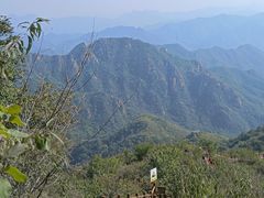 -大岭沟猕猴桃谷风景区