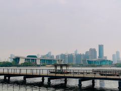 -月湖风景区