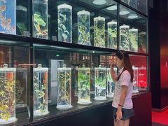 -广东中医药博物馆