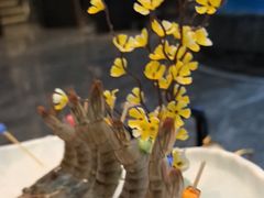 -牛鼎盛新疆雪花鲜牛火锅(武夷绿洲 店)