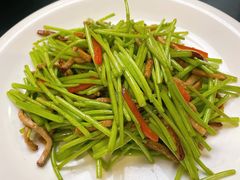 -素行天下(国投财富广场店)