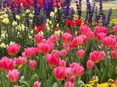 -沙河粉村·国家非遗传承(云台店)