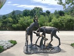 -西安秦岭野生动物园