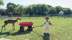 -BabyA 专业婴童摄影(古北时尚广场店)