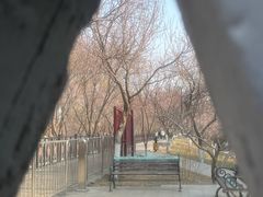 -桃花堤公园