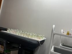 -苗塑堂减肥·艾灸