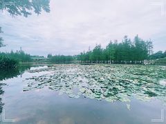 -白鹭湾湿地公园