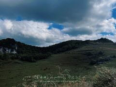 -武陵山森林公园
