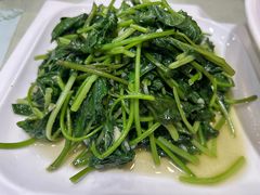 蒜蓉红薯苗-东四民芳餐厅(世茂工三店)