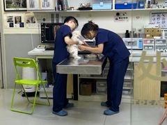 -谐和益家动物医院·免疫绝育·血液透析·宠保定点医院(高新伊藤分院)