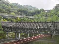 -福道