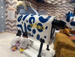 -奈尔宝家庭中心·亲子早教·派对餐厅(北京东坝万达店)