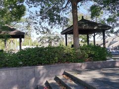 -上海第二工业大学(金海路校区)