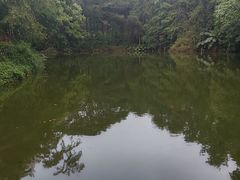 -荔香公园